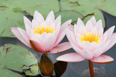 Similar image 2301608