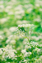 Similar image 2301626