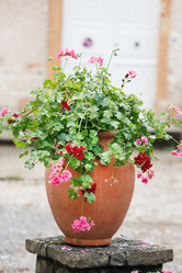 Similar image 2301649