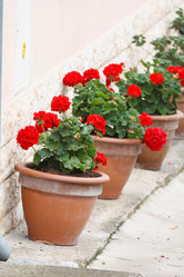 Similar image 2301802