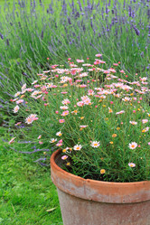 Similar image 2301804