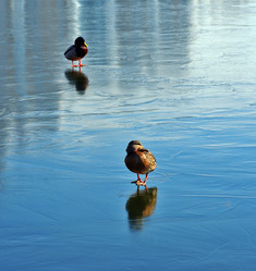 Similar image 2301818