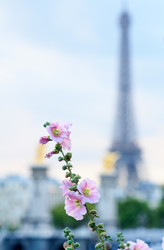 Similar image 2301880