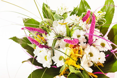 Similar image 2301908