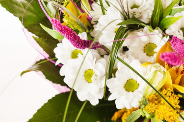 Similar image 2301910