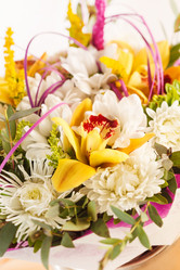 Similar image 2301913