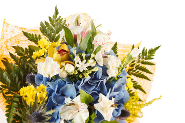 Similar image 2301917