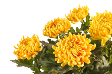 Similar image 2301922