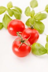 Similar image 2302087