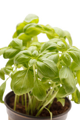 Similar image 2302093