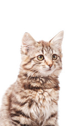 Similar image 2302097