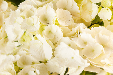 Similar image 2302100