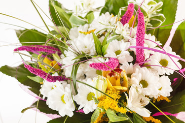 Similar image 2302117