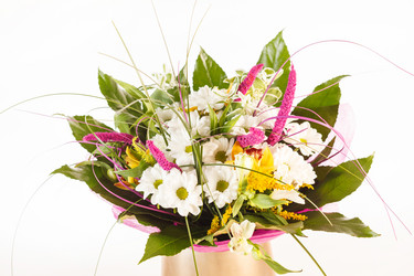 Similar image 2302150