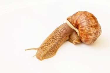 Similar image 2302224