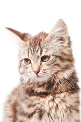 Similar image 2302235