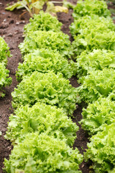 Similar image 2302240