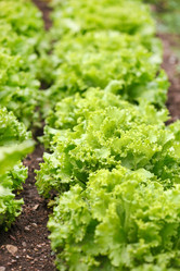 Similar image 2302242