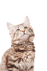 Similar image 2302383