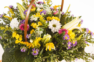 Similar image 2302391