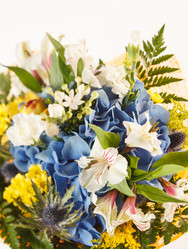 Similar image 2302400