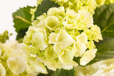 Similar image 2302403