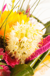 Similar image 2302405