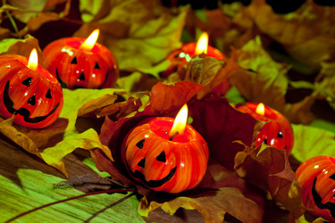 Similar image 2302431