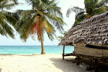 Similar image 2304539