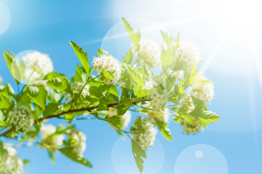 Similar image 2306901