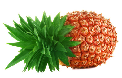 Similar image 2308925