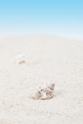 Similar image 2309303