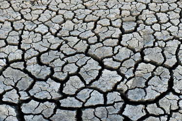 Similar image 2309384