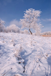 Similar image 2309486