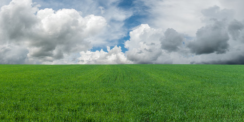 Similar image 2309490