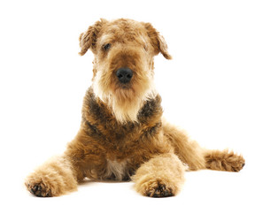 Similar image 2309514