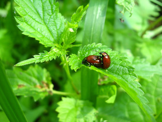 Similar image 2309768