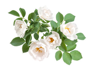 Similar image 2310339