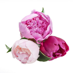 Similar image 2310341