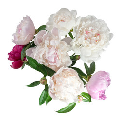 Similar image 2310342