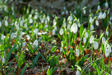 Similar image 2310345