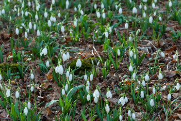 Similar image 2310346