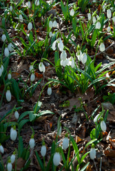 Similar image 2310348