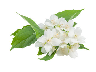 Similar image 2310349