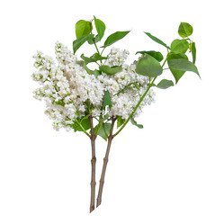 Similar image 2310351