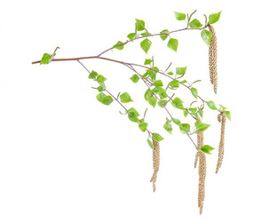 Similar image 2310352