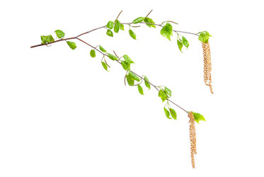 Similar image 2310353