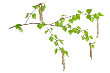 Similar image 2310354