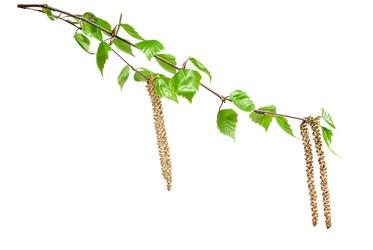 Similar image 2310356