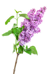 Similar image 2310357